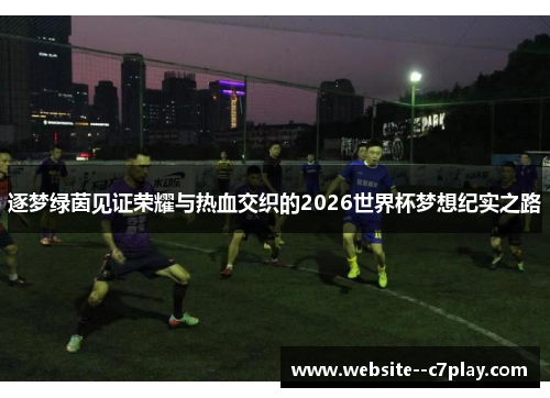 逐梦绿茵见证荣耀与热血交织的2026世界杯梦想纪实之路